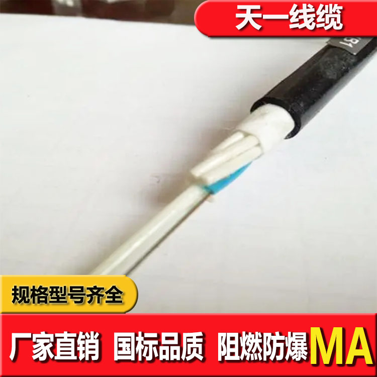 《礦用通信電纜，礦用通信光纜，礦用控制電纜》天一線纜有限公司線纜成品預(yù)覽圖